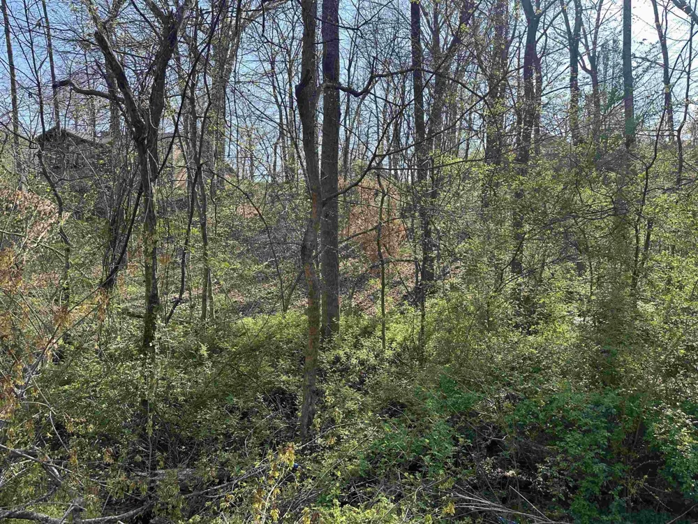 0 CRUMP LANDING RD Crump, TN 38327