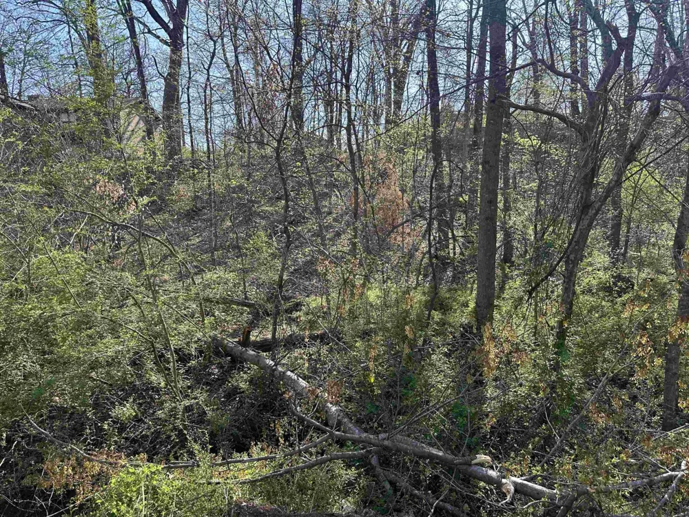 0 CRUMP LANDING RD Crump, TN 38327