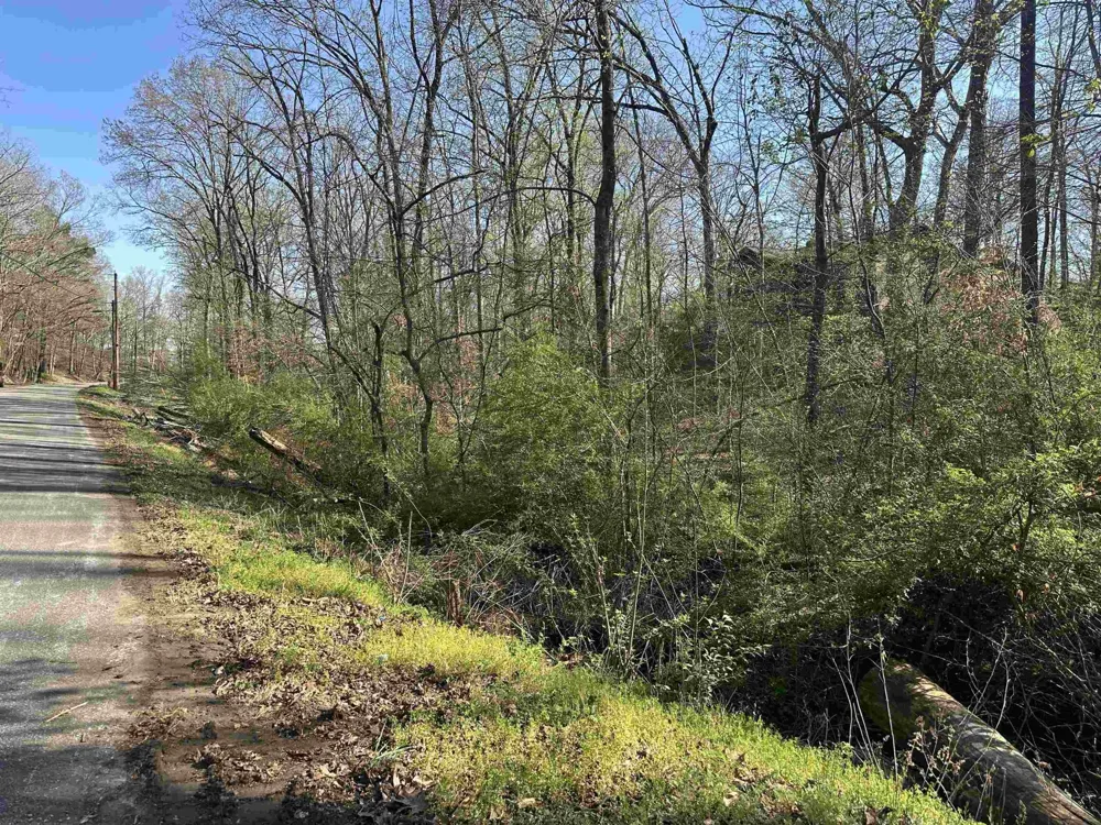 0 CRUMP LANDING RD Crump, TN 38327