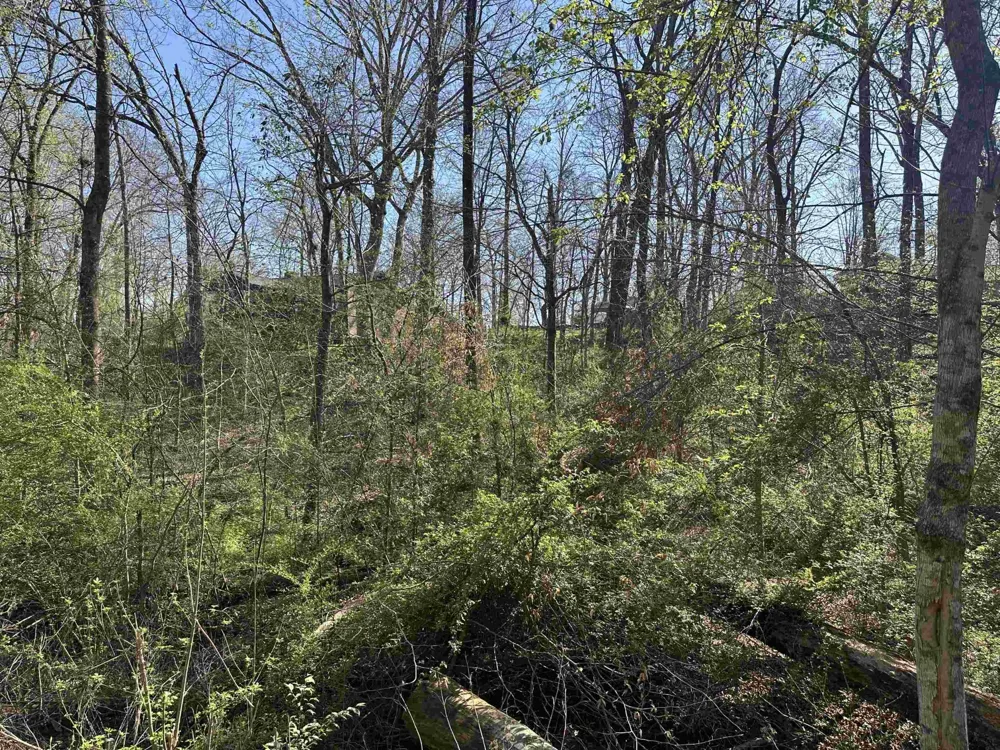 0 CRUMP LANDING RD Crump, TN 38327