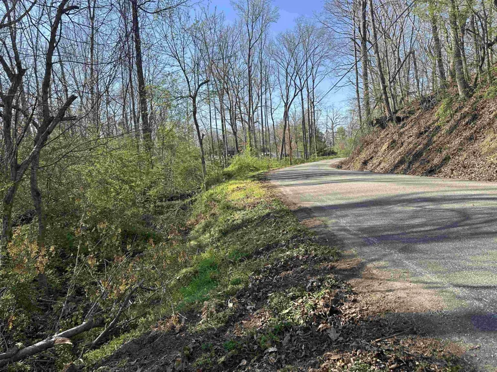 0 CRUMP LANDING RD Crump, TN 38327