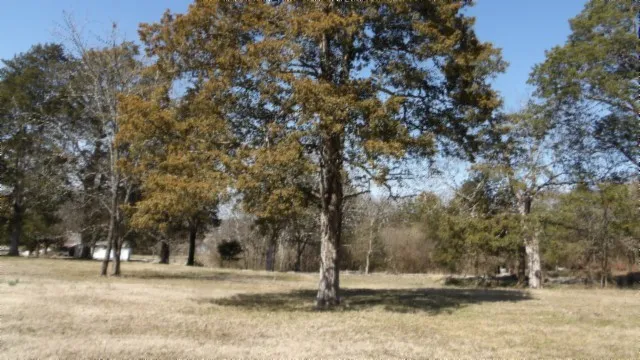 1586 Needmore Rd Old Hickory, TN 37138