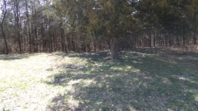 1586 Needmore Rd Old Hickory, TN 37138