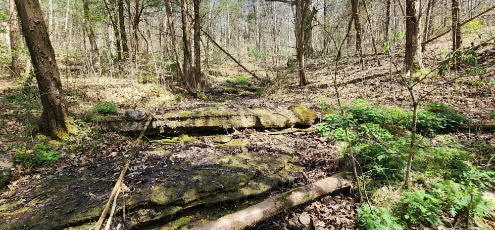 950 Chapman Hollow Rd Dowelltown, TN 37059