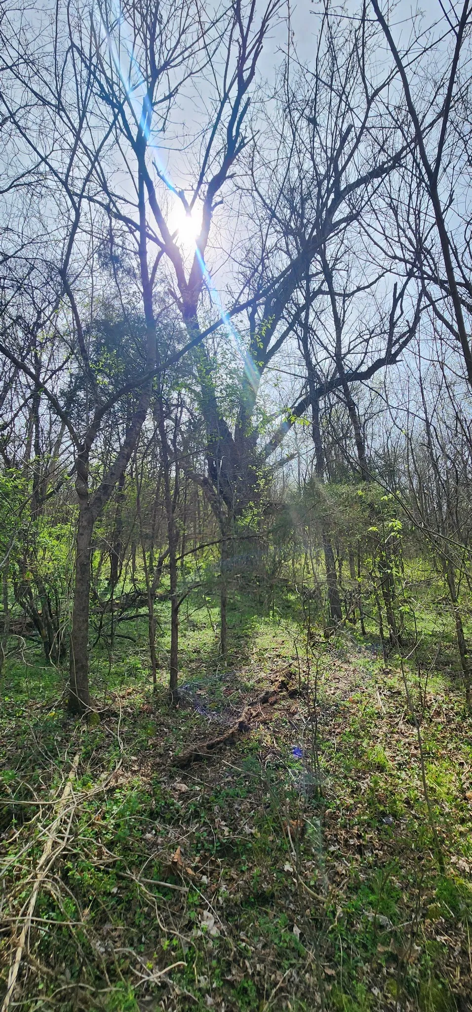 950 Chapman Hollow Rd Dowelltown, TN 37059