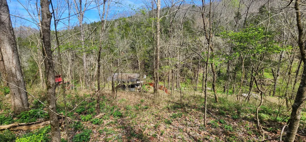 950 Chapman Hollow Rd Dowelltown, TN 37059