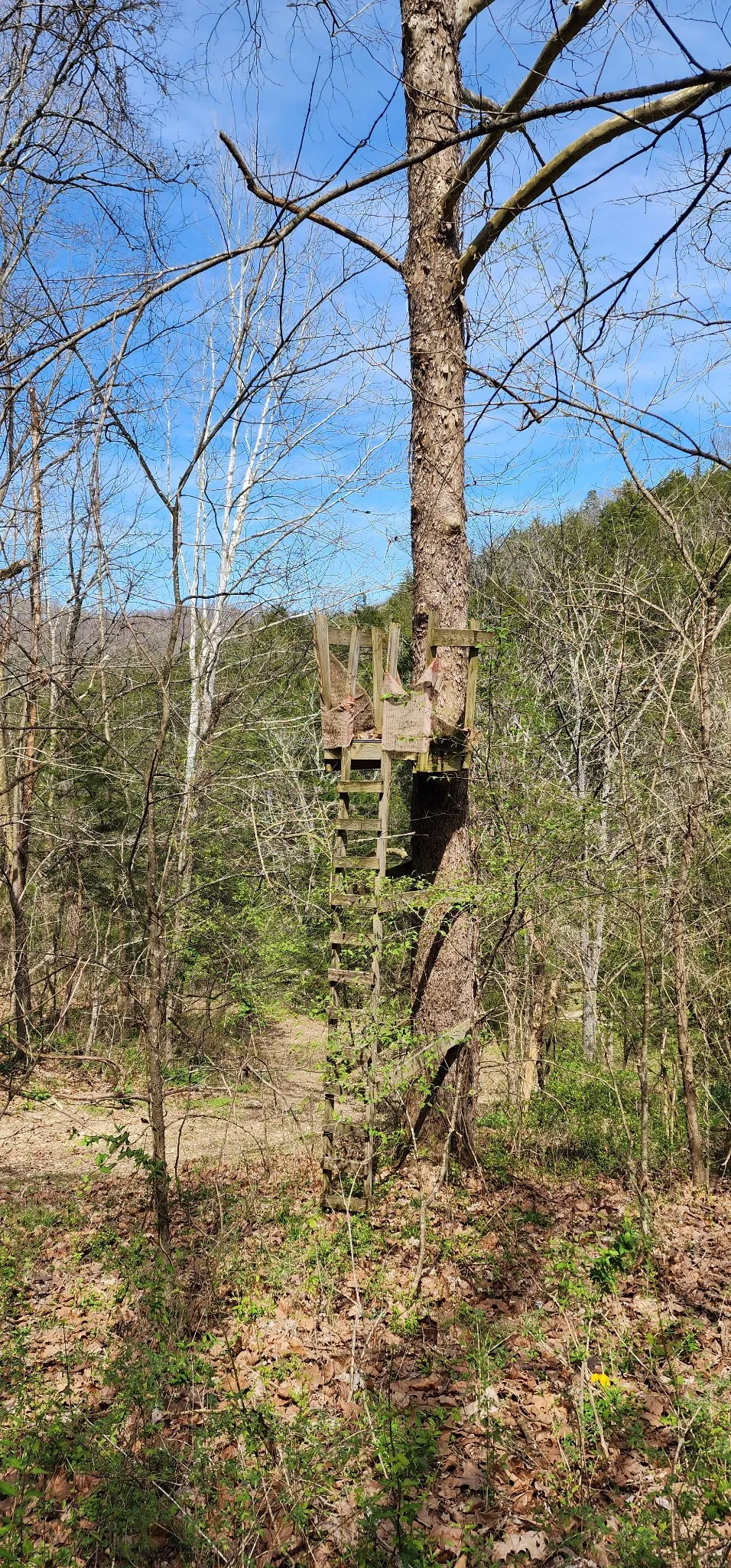 950 Chapman Hollow Rd Dowelltown, TN 37059
