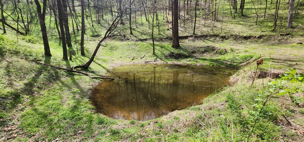 950 Chapman Hollow Rd Dowelltown, TN 37059