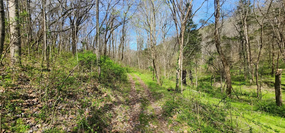 950 Chapman Hollow Rd Dowelltown, TN 37059