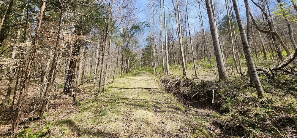 950 Chapman Hollow Rd Dowelltown, TN 37059