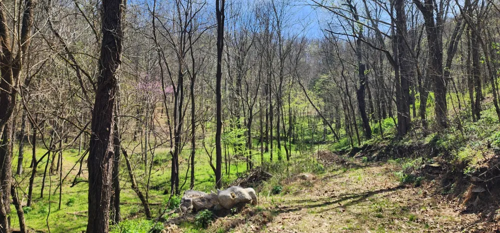 950 Chapman Hollow Rd Dowelltown, TN 37059