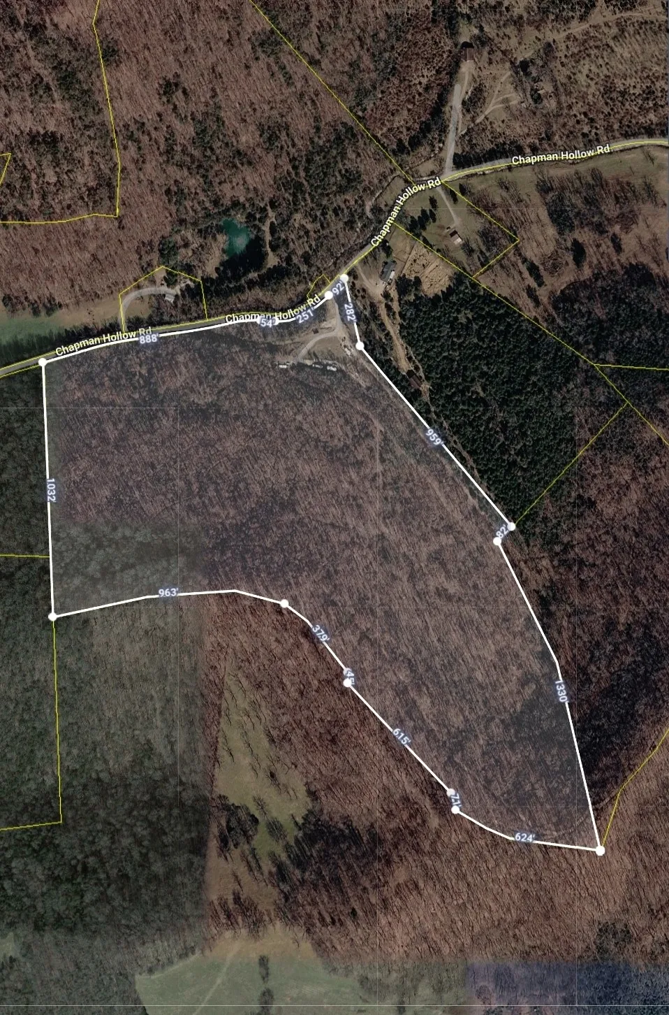 950 Chapman Hollow Rd Dowelltown, TN 37059