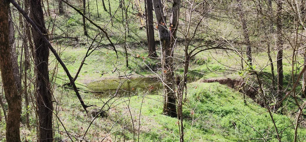 950 Chapman Hollow Rd Dowelltown, TN 37059