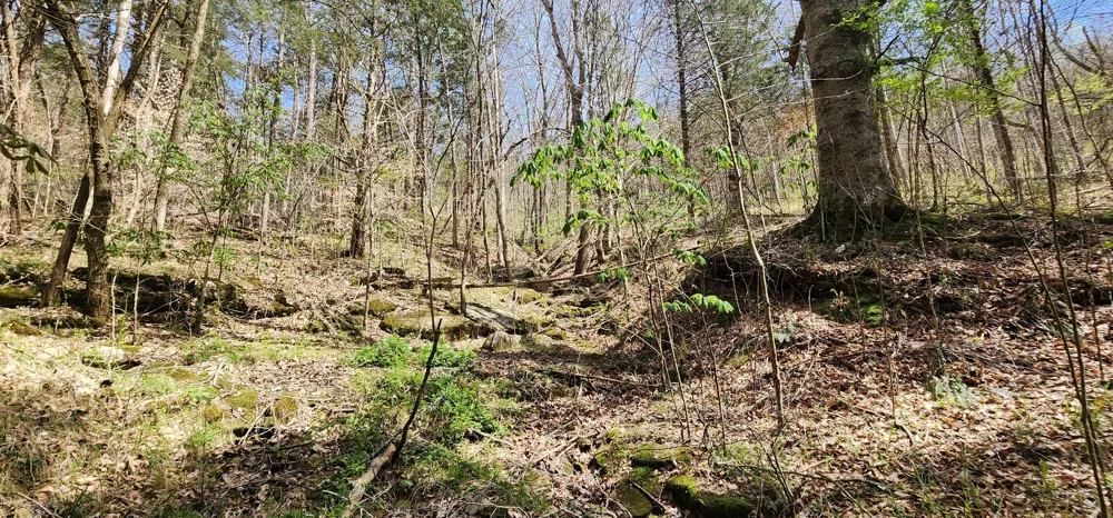 950 Chapman Hollow Rd Dowelltown, TN 37059