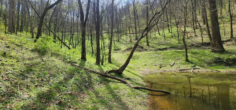 0 Chapman Hollow Rd Dowelltown, TN 37059