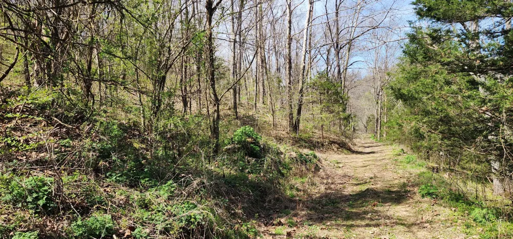 0 Chapman Hollow Rd Dowelltown, TN 37059