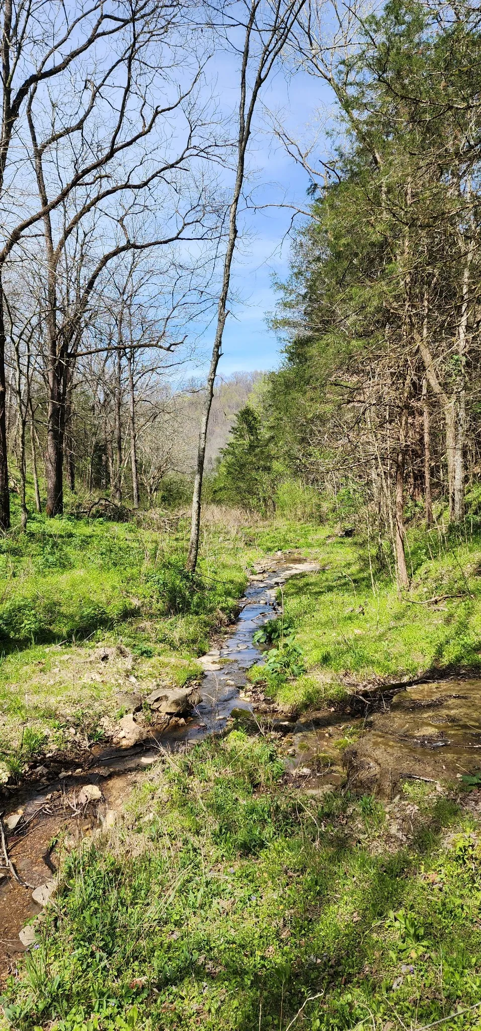 0 Chapman Hollow Rd Dowelltown, TN 37059