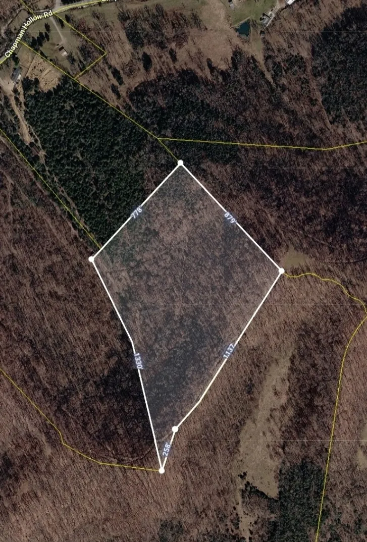 0 Chapman Hollow Rd Dowelltown, TN 37059