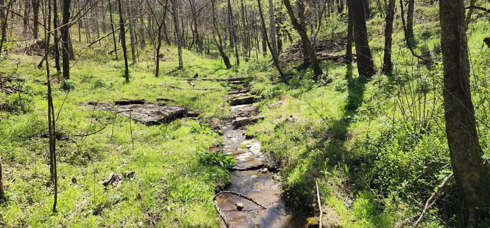 0 Chapman Hollow Rd Dowelltown, TN 37059