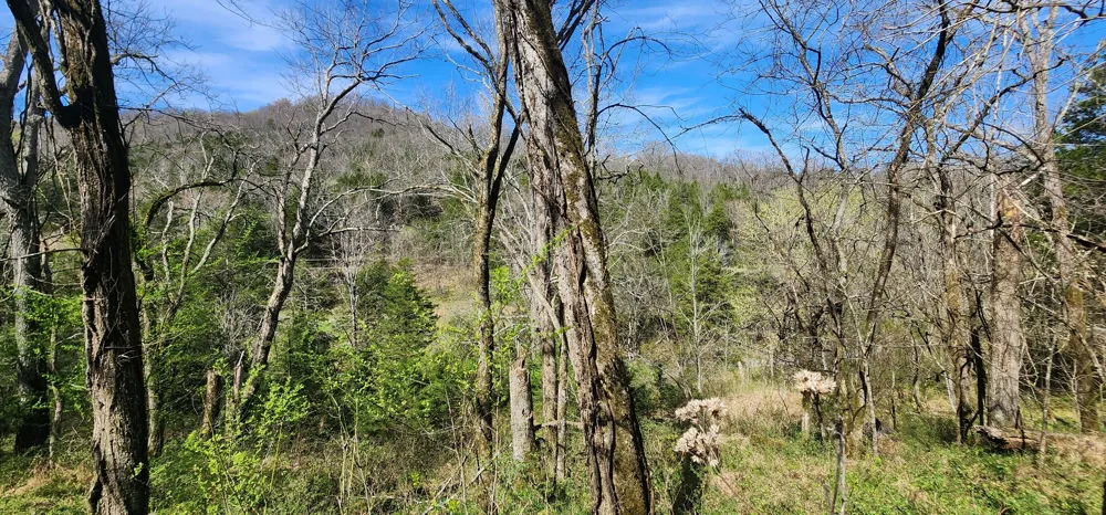 0 Wilson Hollow Rd Liberty, TN 37095