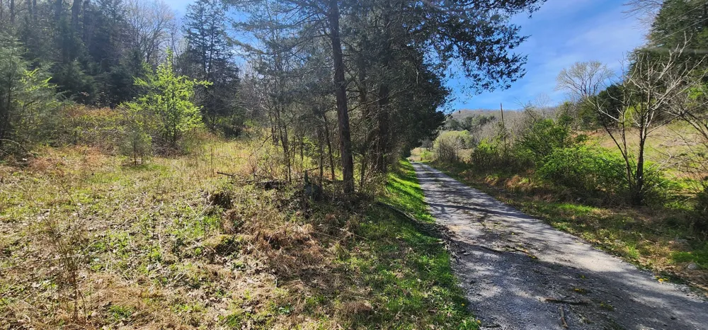 0 Wilson Hollow Rd Liberty, TN 37095