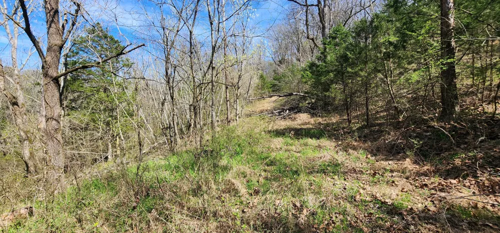 0 Wilson Hollow Rd Liberty, TN 37095