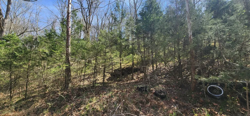0 Wilson Hollow Rd Liberty, TN 37095