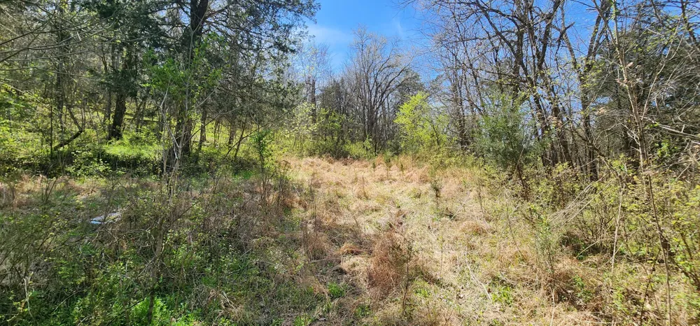 0 Wilson Hollow Rd Liberty, TN 37095