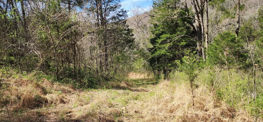 0 Wilson Hollow Rd Liberty, TN 37095