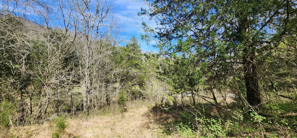 0 Wilson Hollow Rd Liberty, TN 37095