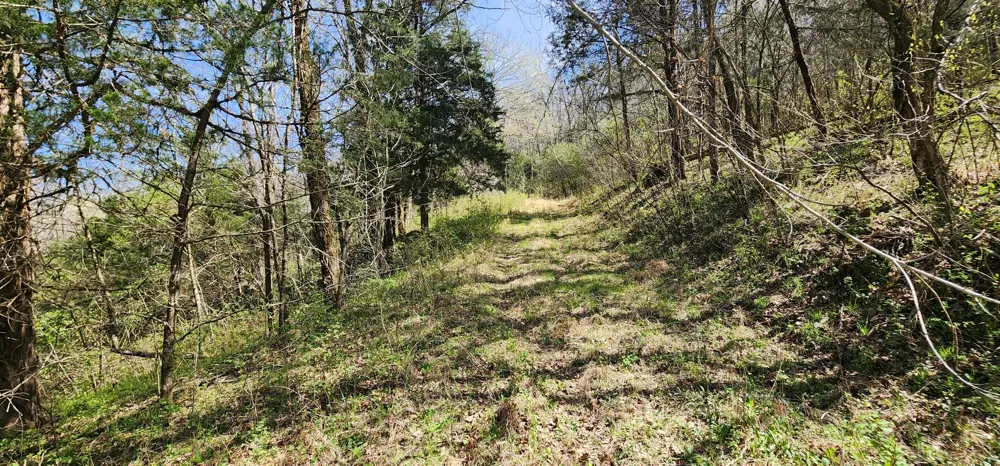 0 Wilson Hollow Rd Liberty, TN 37095