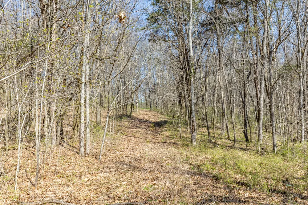 2739 Pickens Rd Lynnville, TN 38472