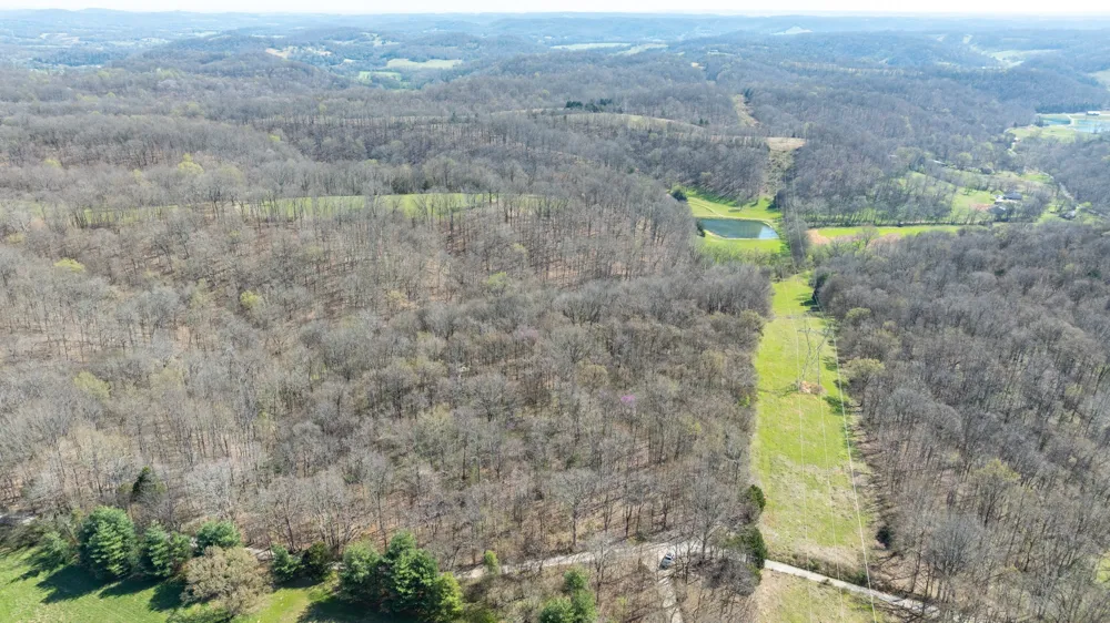 2739 Pickens Rd Lynnville, TN 38472