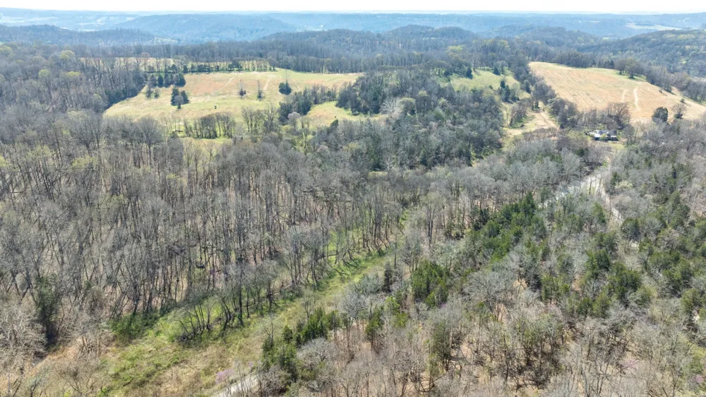 2739 Pickens Rd Lynnville, TN 38472