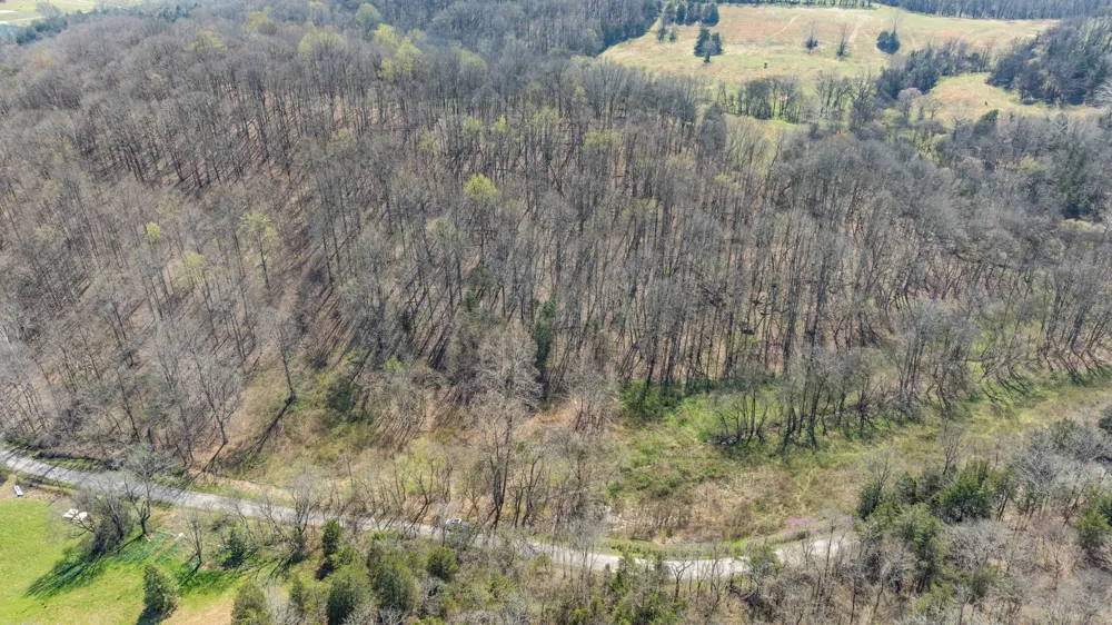 2739 Pickens Rd Lynnville, TN 38472
