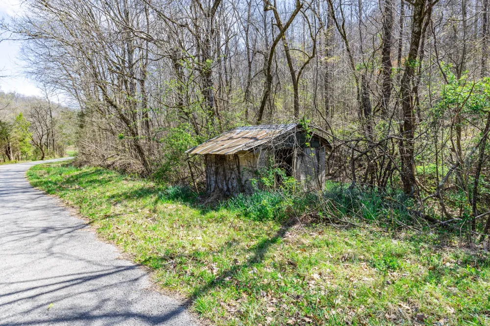 2739 Pickens Rd Lynnville, TN 38472