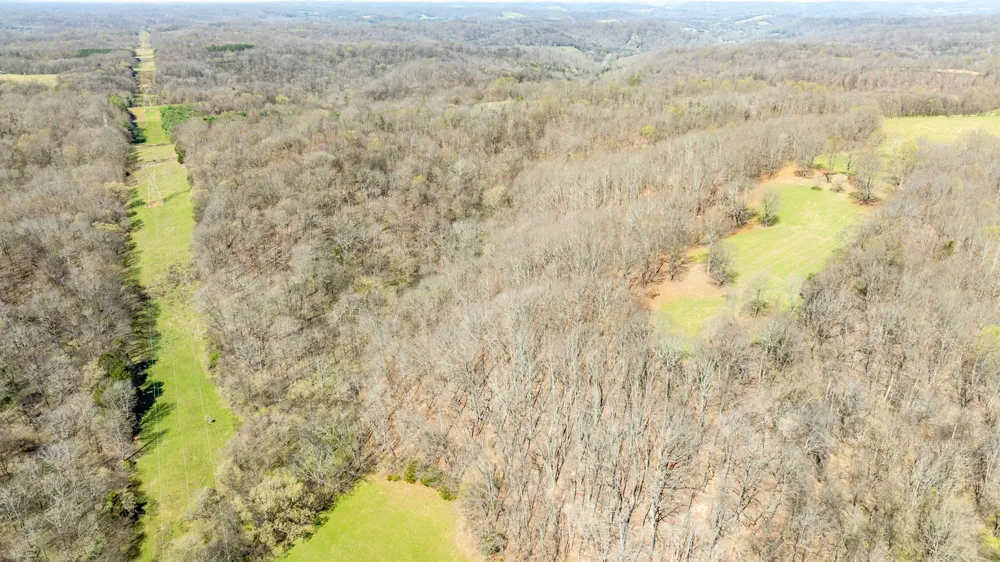 2739 Pickens Rd Lynnville, TN 38472