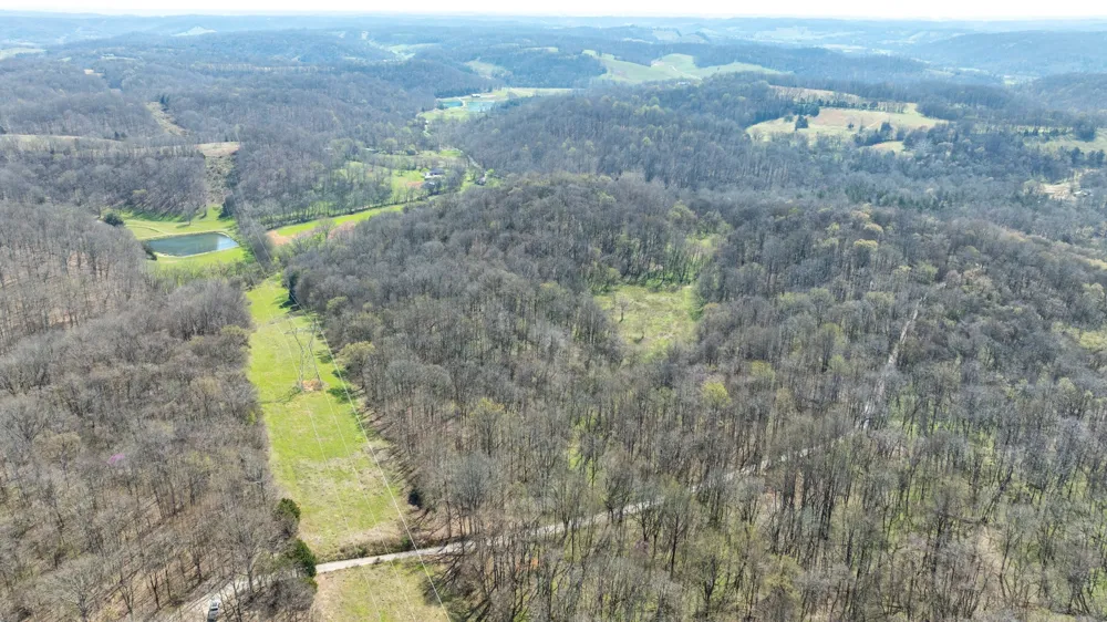2739 Pickens Rd Lynnville, TN 38472