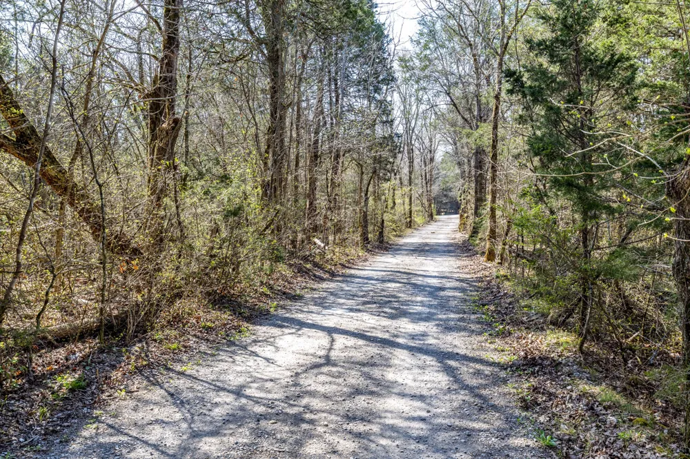 2739 Pickens Rd Lynnville, TN 38472