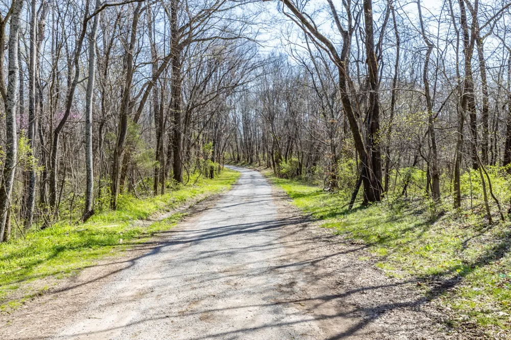 2739 Pickens Rd Lynnville, TN 38472