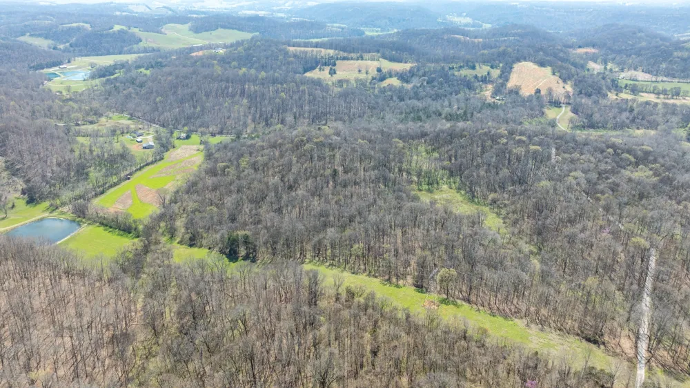 2739 Pickens Rd Lynnville, TN 38472