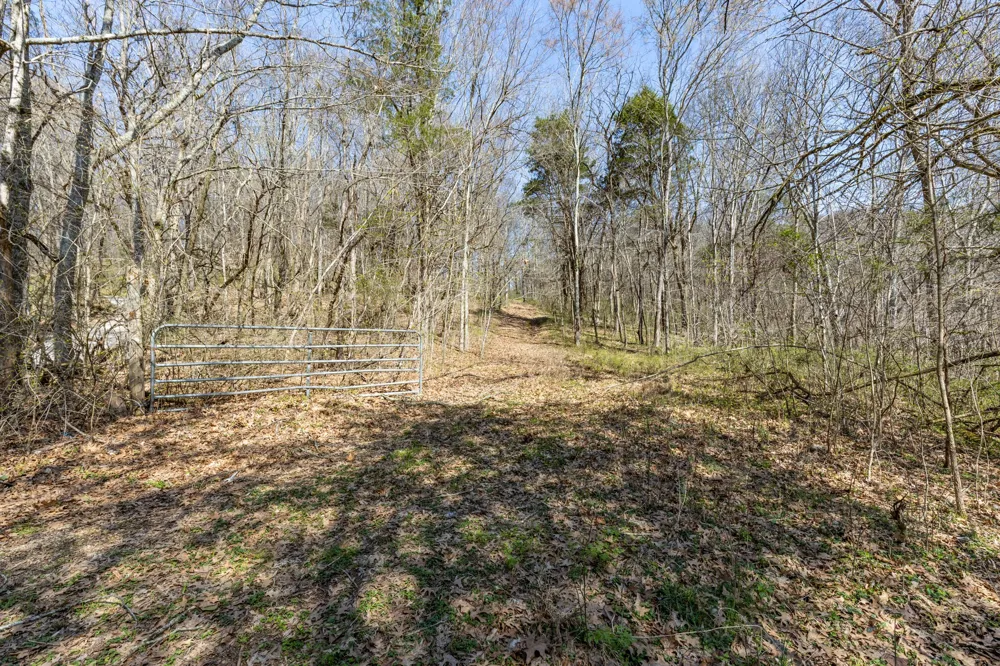 2739 Pickens Rd Lynnville, TN 38472