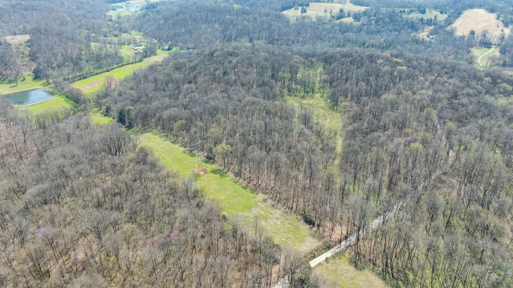 2739 Pickens Rd Lynnville, TN 38472