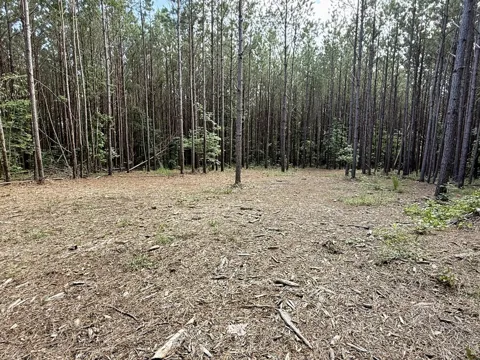 191 Seiber Ridge RD