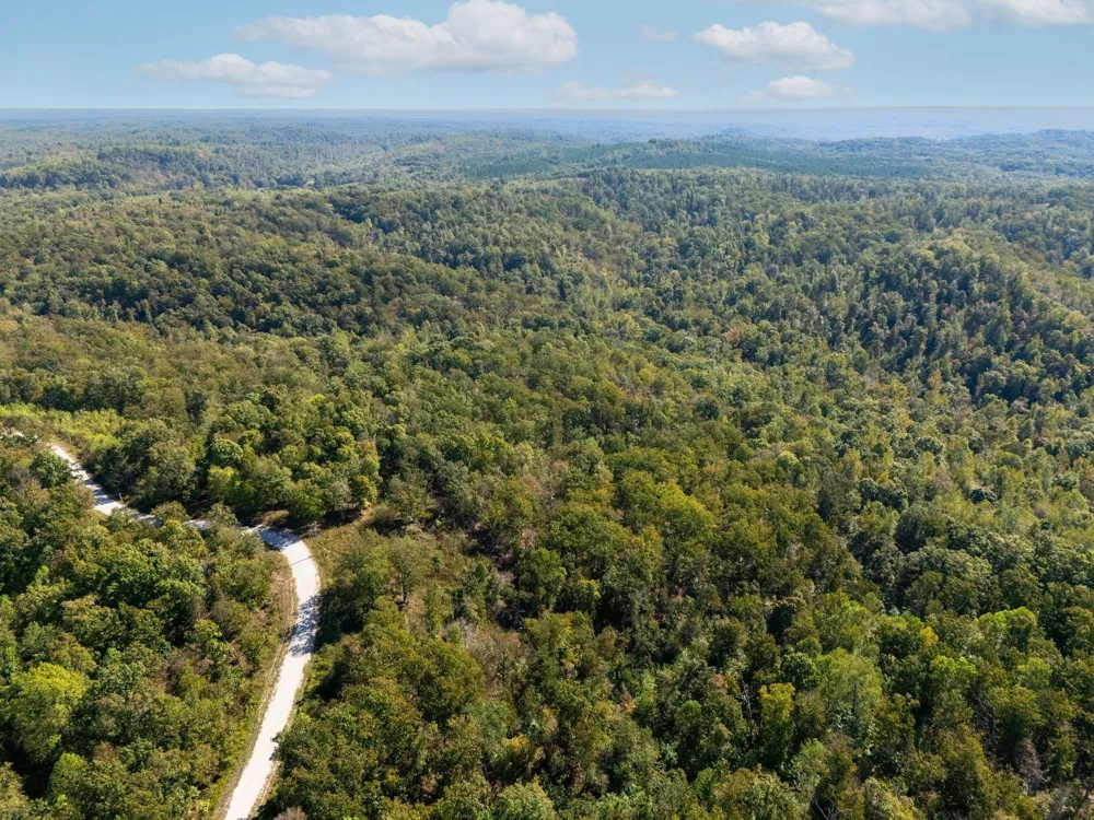 33 Vista Ridge Dr Stewart, TN 37175