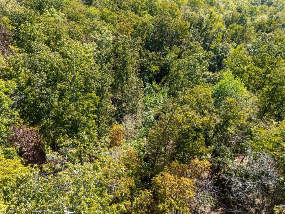 33 Vista Ridge Dr Stewart, TN 37175