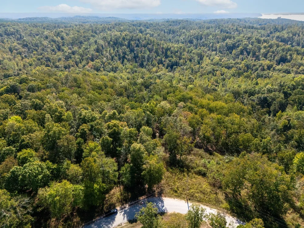 33 Vista Ridge Dr Stewart, TN 37175