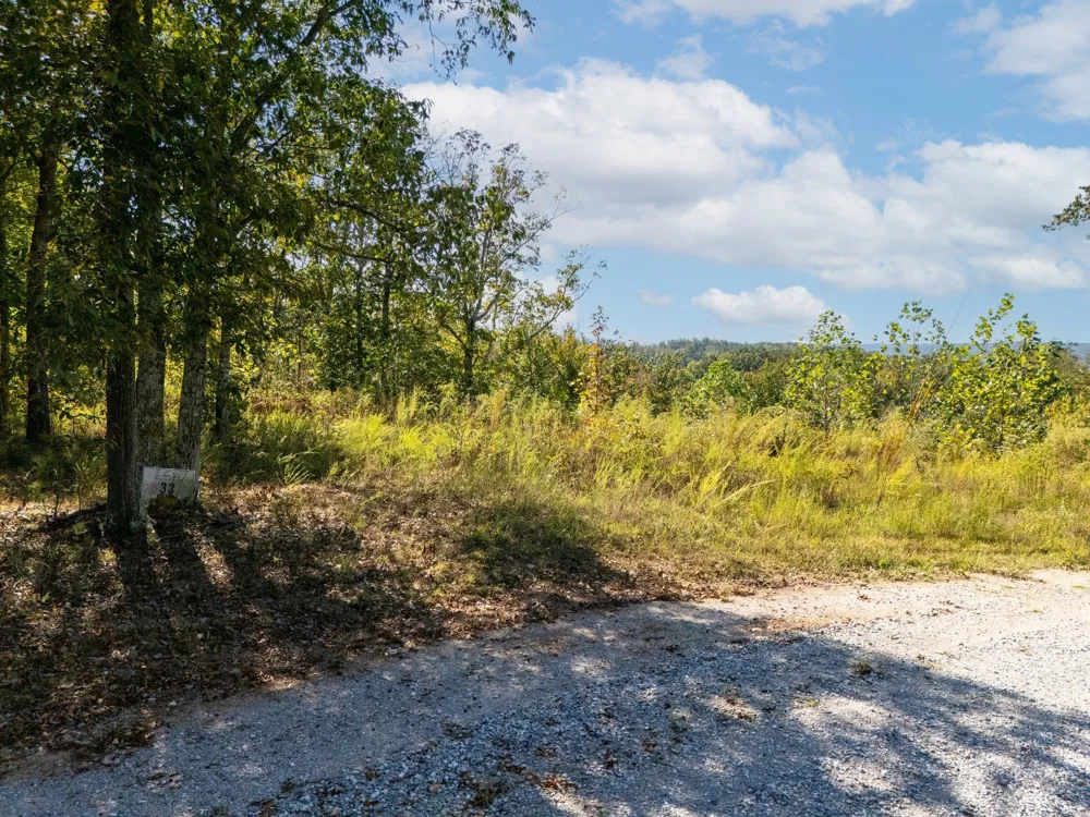 33 Vista Ridge Dr Stewart, TN 37175