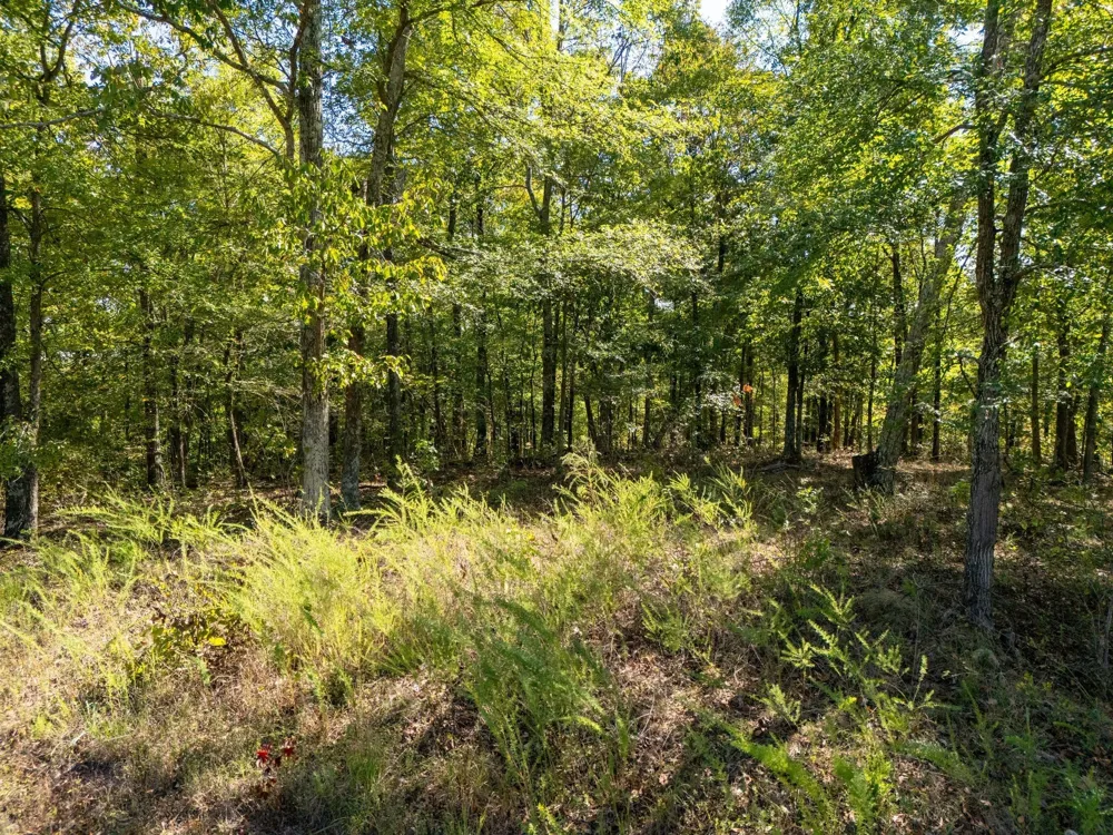 33 Vista Ridge Dr Stewart, TN 37175