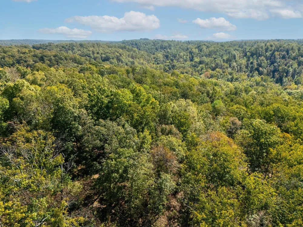 33 Vista Ridge Dr Stewart, TN 37175